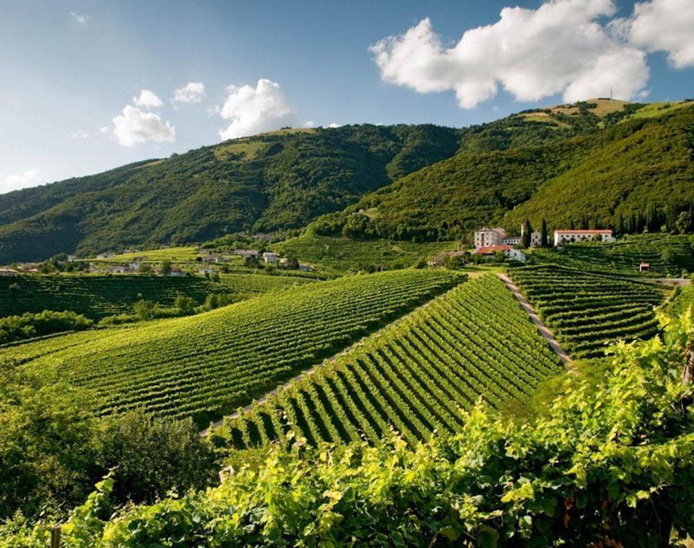 Follinetta10 - Enjoy Holiday Home In The Prosecco Hills Follina Luaran gambar